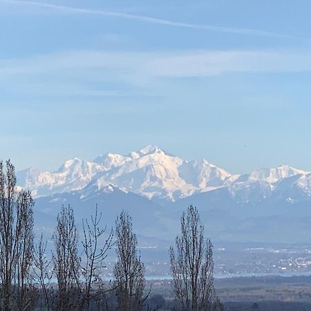Chalet Du Montblanc 4 Pers Max Gex Esterno foto